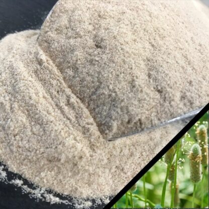 Farine de psyllium bio sans gluten - Gojo