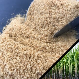 Sucre de canne complet bio
