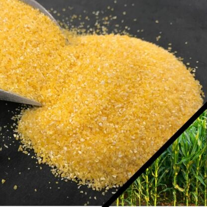 Semoule de maïs jaune bio et sans gluten sur une table avec des plants de maïs en arrière-plan