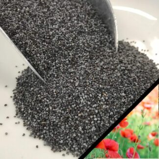 Graines de pavot bio