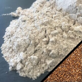 Farine de teff bio sans gluten - Gojo
